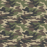 Fruity Griptape - Camo