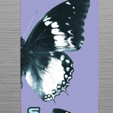 Shifty Skateboards Kids Complete - Wings - 7.5"
