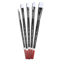 Angelus Paint Brush 5 piece Set