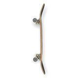 Eternal Skateboard Complete 8.25 Foliage Autumn