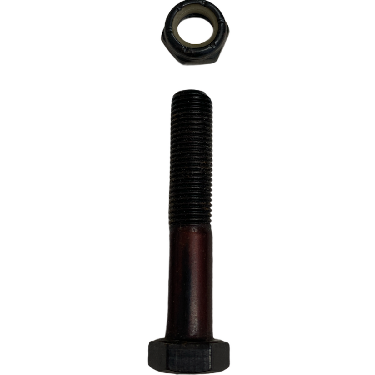 Trinity Kingpin & Nut 50mm for Skateboard Trucks Seaside Skates